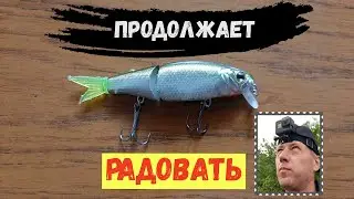 Рыбалка на спиннинг. Воблер продолжает радовать. Осень 2019. Часть 1-я.