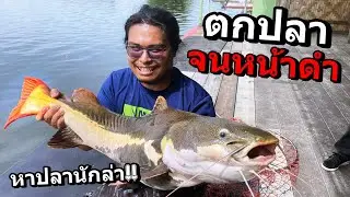 ตามหาปลานักล่า!! ปลาดุกยักษ์ไซส์รถถัง Ft.OpzTv