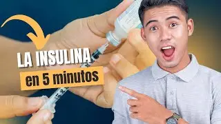 En 5 MINUTOS te EXPLICO qué es la INSULINA y por qué realmente IMPORTA