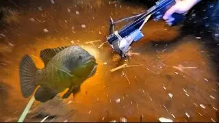 Nombak Ikan di Sawah
