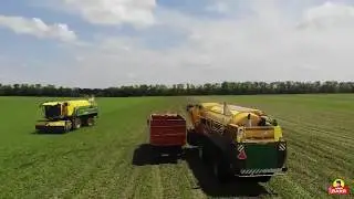 Дядя Ваня - Выращиваем сами. Сбор зеленого горошка