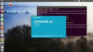 SAG Webmethod Training Tutorial 11 : Install trail version of Webmethod (Linux)