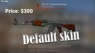 Default AK skin from a Case???