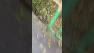 выживание с @catblits