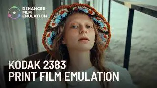 Dehancer. Kodak Vision ColorPrint Film 2383 emulation