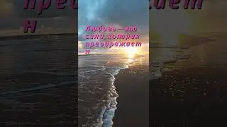 Любовь — это...