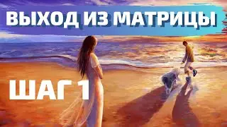 ВЫХОД ИЗ МАТРИЦЫ: ШАГ 1. ВАДИМ ЖЕРЕБЦОВ