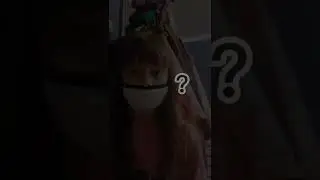 Надеюсь тут не будут отключины коменты-_-