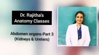 Abdomen organs Part-3 (Kidneys , Ureters), Discussion & Spotters by Dr. Rajitha Vanga.