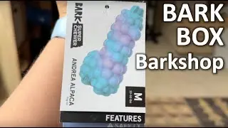 August 2024 Bark Box Unboxing | Product Review 8
