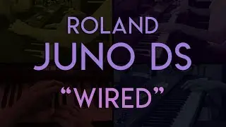 Wired - Roland Juno DS88