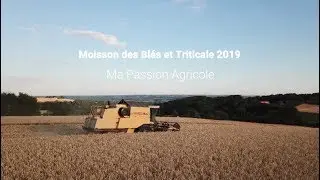 Une journée à la moisson des Blés et Triticale Bio 2019 ( Vlog )