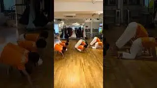 トンネルくぐり🦊#karate #kawaii #子供空手 #空手