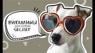 Витамины для собак Секрет . Secret