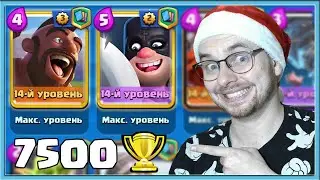 🔥 7500 TROPHIES OR NOOB! BEST DECK WITH HOG AND EXECUTIONER / Clash Royale