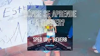 Mora - DÓNDE SE APRENDE A QUERER? (Sped Up + Reverb)