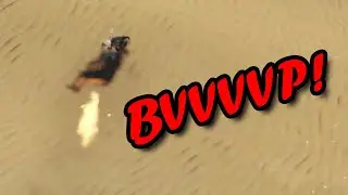 What was that sound?? | War Thunder