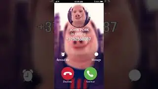 John pork on the phone ☎️..