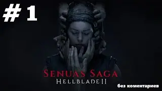 Senuas Saga Hellblade II. #1