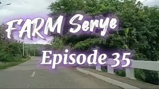 Farm Serye Episode 35 ang Azolla halos napuno na ang pond #azollafarming #becomingfarmer