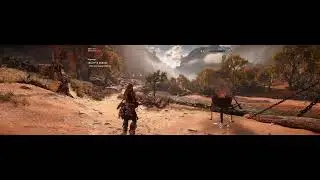 Horizon Forbidden West Frame Generation Problem with UltraWide Screen Aspect Ratio