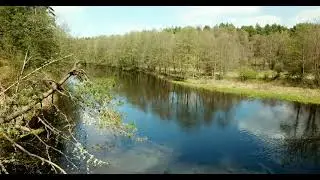 р.Щара. близ д.Короли. Мостовской р-н. Гродненской обл