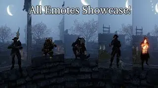 All Character Emotes Showcase! (Warhammer: Vermintide 2)