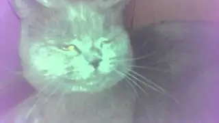 баловство