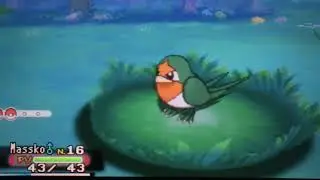 93☆ Nirondelle Chromatique / Shiny Taillow en 2247 rencontres