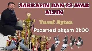 🏆HA 22 AYAR ALTIN HA BU KUŞLAR 🏆