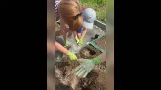 Маленькие огородники | #SemenaPartnerShorts