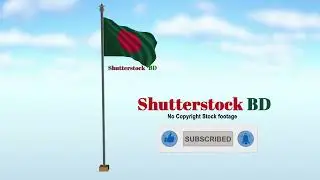 Shutterstock BD Logo Animation