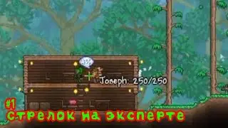 Экспертный стрелок |1| играю в TERRARIA