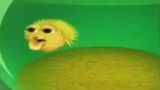 yellow pufferfish augh