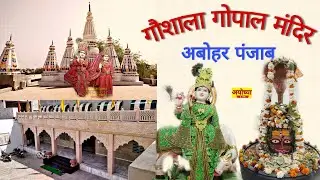 Gaushala Gopal Mandir Abohar Punjab || गौशाला गोपाल मंदिर अबोहर पंजाब || Ayodhya live