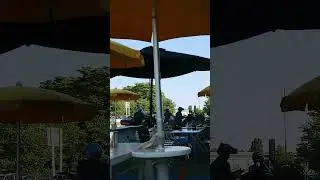 Harleydavidson 🏍️🏍️