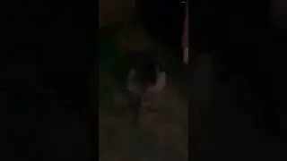 Mysterious creature caught on camera  #ghostvideo #paranormal #scaryviedo #creature #creepy