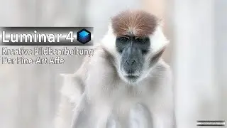 Luminar 4 - Kreative Bildbearbeitung - Der Fine Art Affe