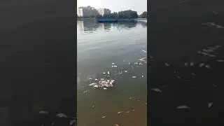 18 июля 2024 г.