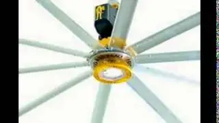 Fans With Led Lights