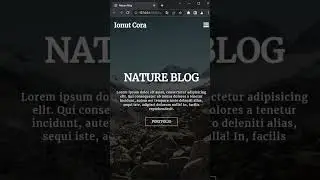 Responsive & Transparent Navbar using HTML, CSS & JS 