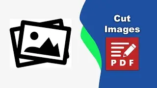How to Select and Cut an Image from a PDF Document in PDF-XChange Editor