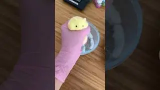 The cutest hamster for squeezing ❤️ #diy #satisfying #crafts #oddlysatisfying #cute #kawaii #squishy