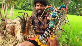 KING LOBSTER SPICY GRAVY | Village Style COOKING And Eating \\ ONE MAN