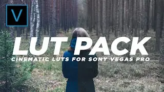 Cinematic LUTs PACK + How to | Vegas Pro