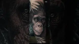 INCREDIBLE CHIMPANZEE TATTOO BY ROCHE AT MOGWAI TATTOO STUDIO!