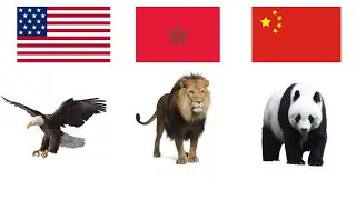 National Animals of all country [177 countries]