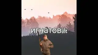 Игнатов Life в прямом эфире!