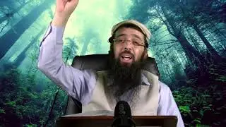הרב יעקב בן חנן - למה יוסף הצדיק קבור דווקא בשכם?