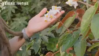 VFX Showreel 2022